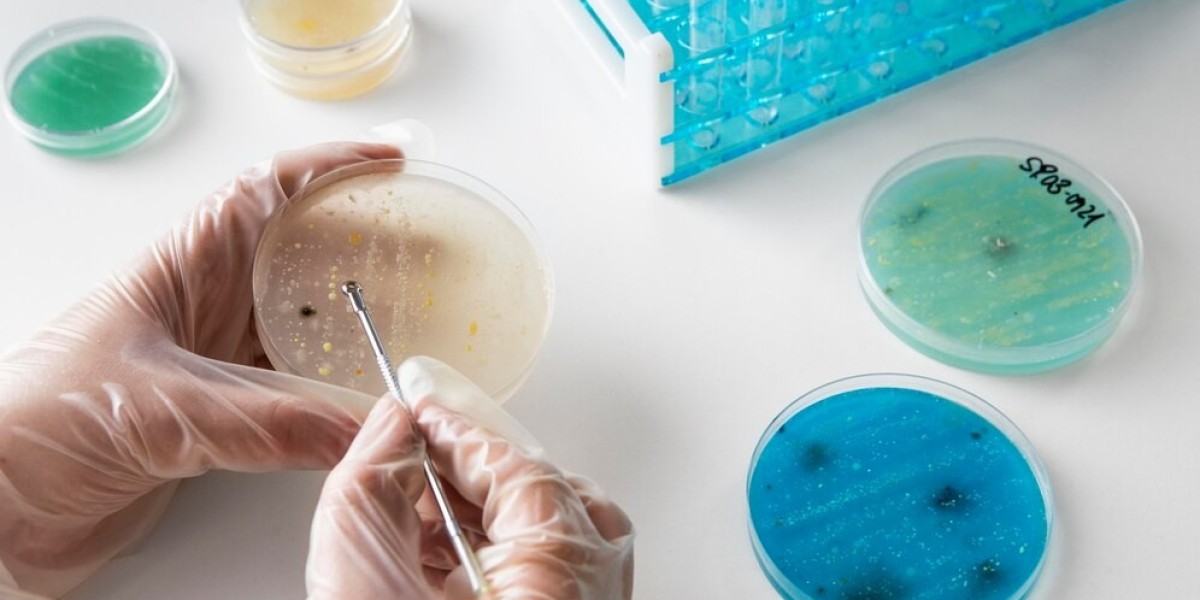 Antimicrobial Susceptibility Test Market Threats Posing Risks To Global Adoption And Innovation