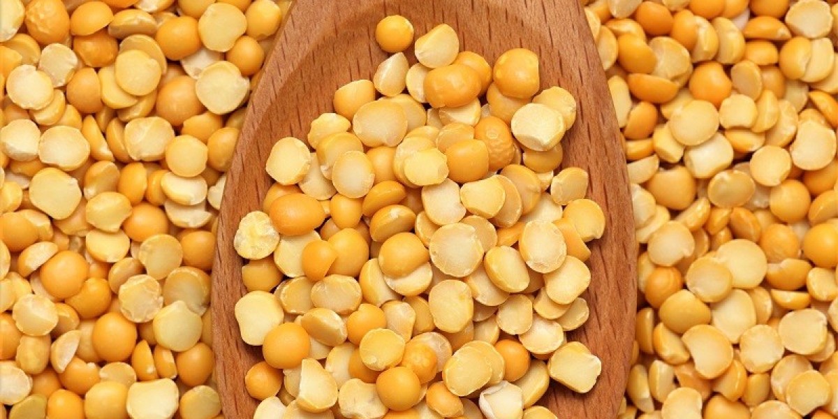 How Yellow Pea Protein Is Fueling the Growth of the Plant-Based Food Industry