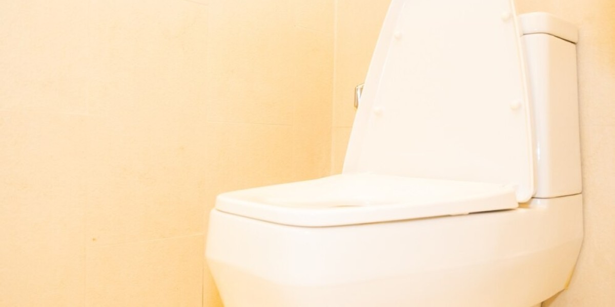 The Future of Toilet Seat Technology and Design