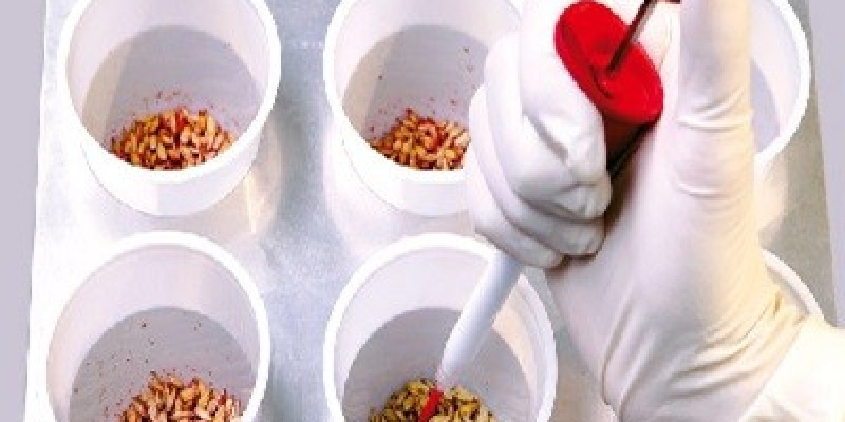 Seed Treatment Chemicals Market is Booming Worldwide to Show Significant Growth Over the Forecast to 2031