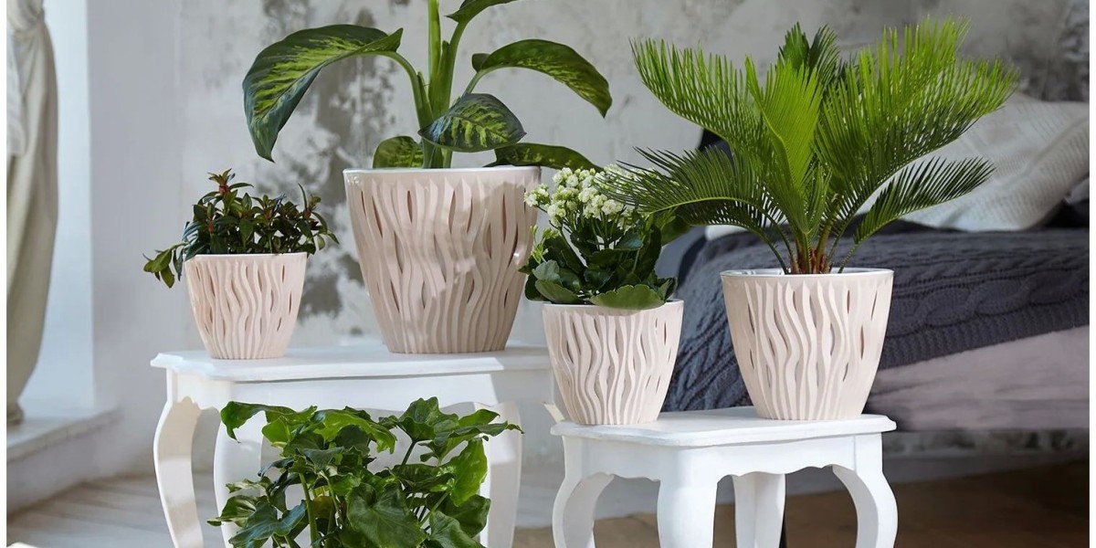 Artificial Plants Market: Accelerating Market Trends and Consumer Preferences