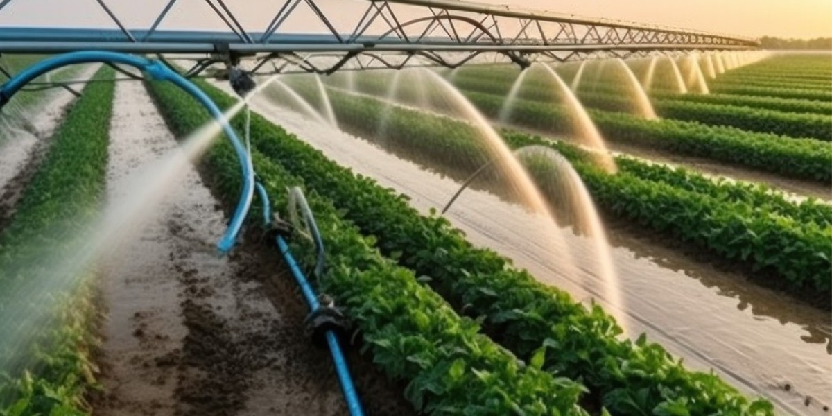 Drip Irrigation Pipes Manufacturing Plant 2025: Project Report, Business Plan, Raw Materials, and Cost Analysis