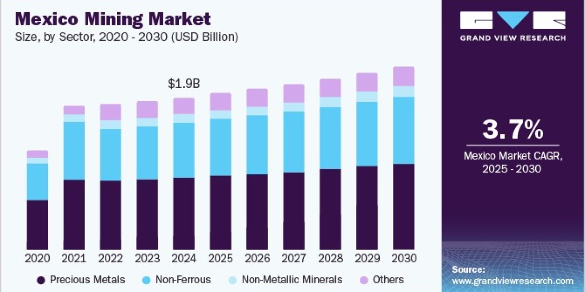 Mexico Mining Market Dynamics: Navigating Regulatory Changes and Environmental Concerns