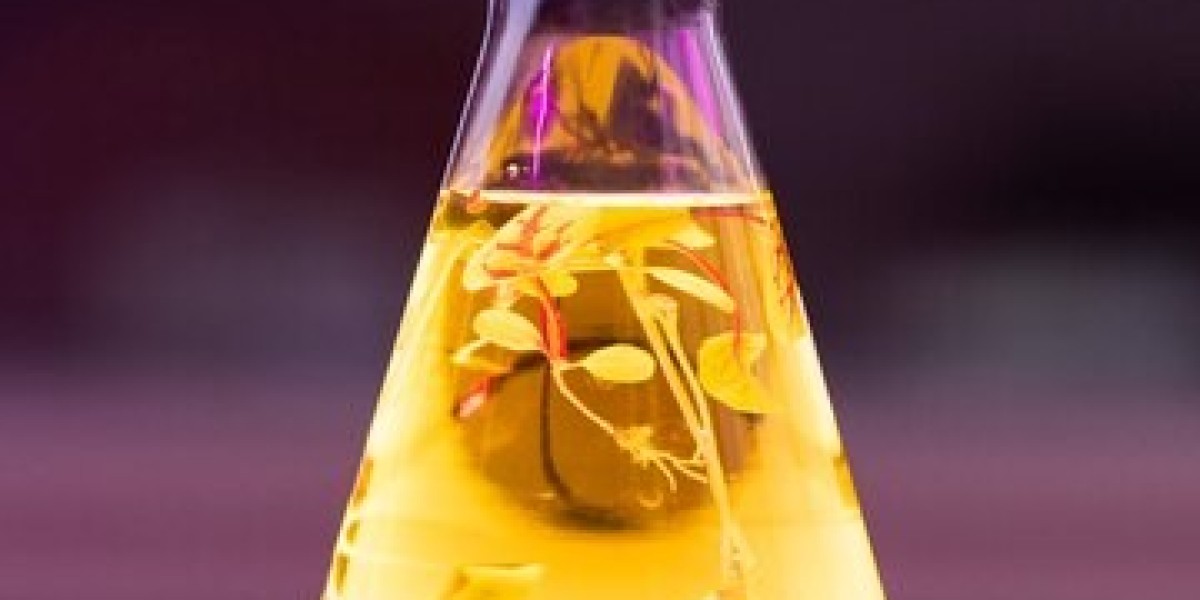 Ethanol Market Intelligence Key to Sustainable Growth