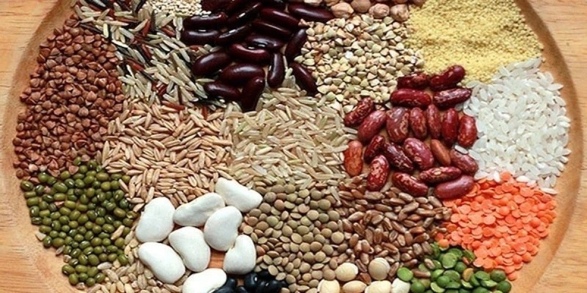 Pulse Ingredients Market: Key Factors Driving the Global Surge in Demand and Innovation Potential