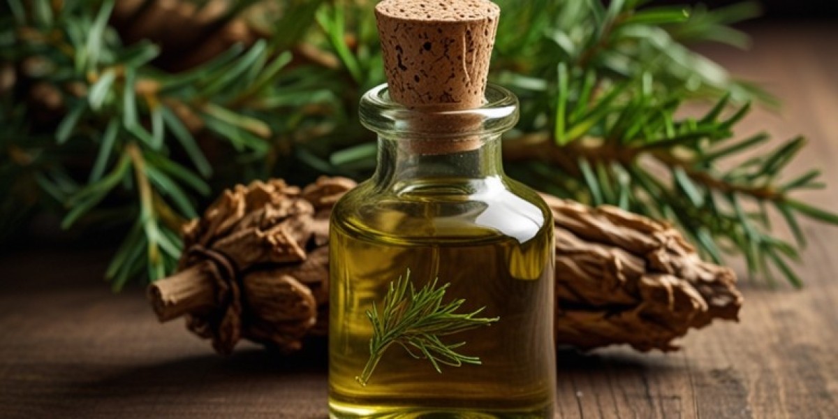 Cypress Oil Processing Plant Setup Cost 2025: Layout and Raw Material Requirements
