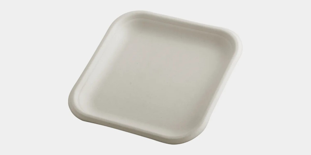 Top Trends in Disposable Plate Manufacturing for 2025