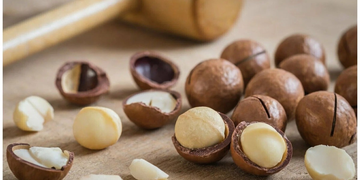 Macadamia Market Trends Driving Demand in Food, Cosmetics, and Health Industries Globally