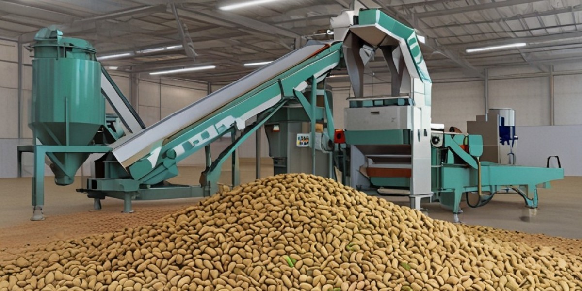Pistachios Processing Plant Project Report 2024: Setup Details, Capital Investments and Expenses