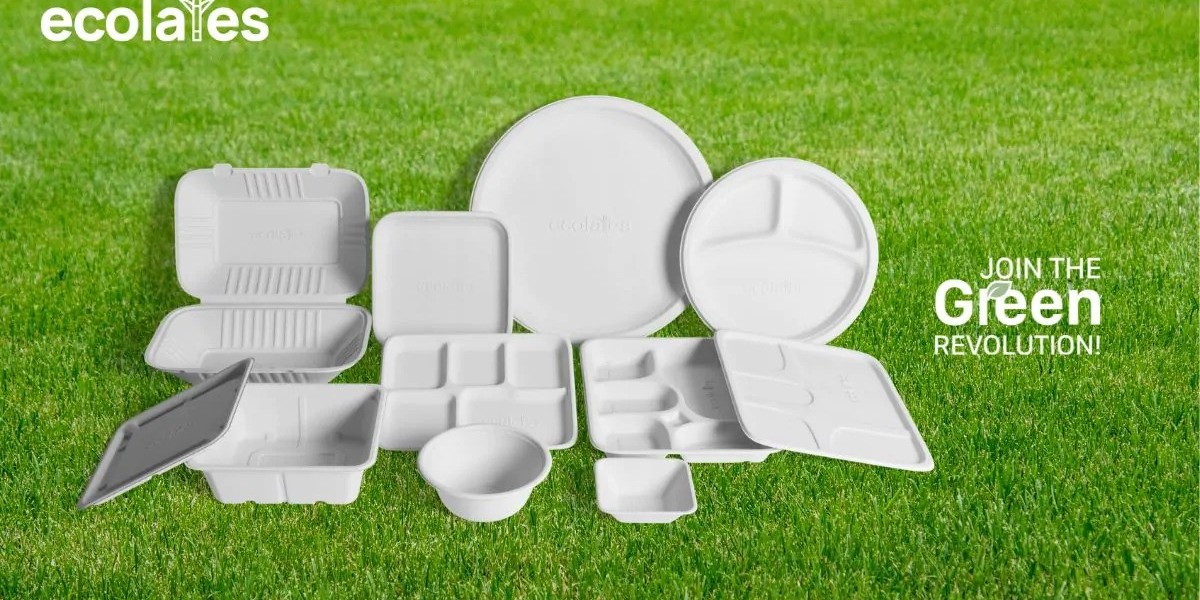 Turning Challenges into Solutions: The Road to Sustainable Bagasse Management