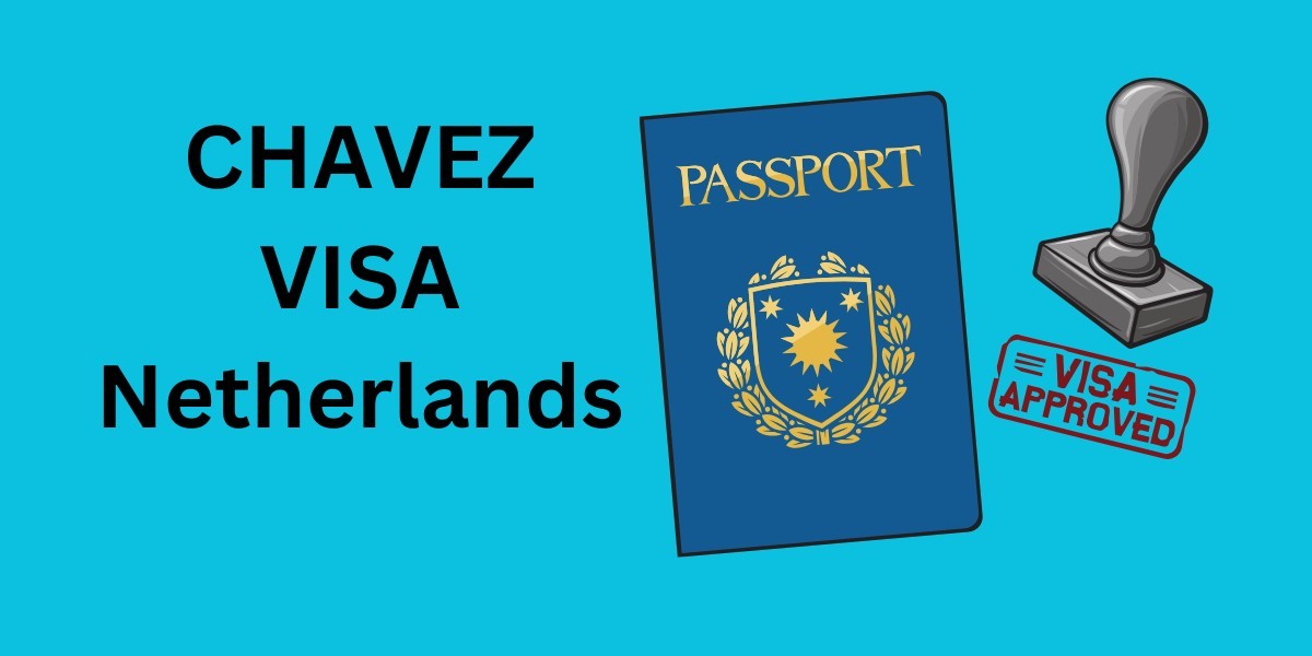 Common Mistakes to Avoid When Applying for the Chavez Visa