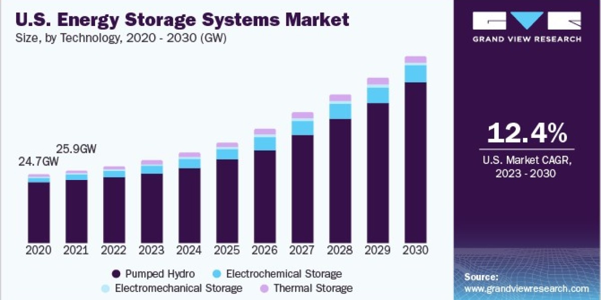 Energy Storage Systems Market Segment Analysis Reveals High Demand for Flow Batteries