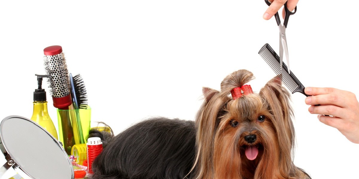 Dog Grooming Products Market Segmentation: A Detailed Overview