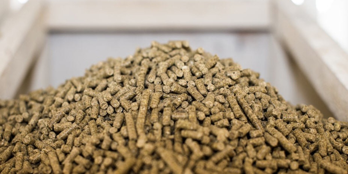 Key Drivers of the Compound Feed Market's Expansion