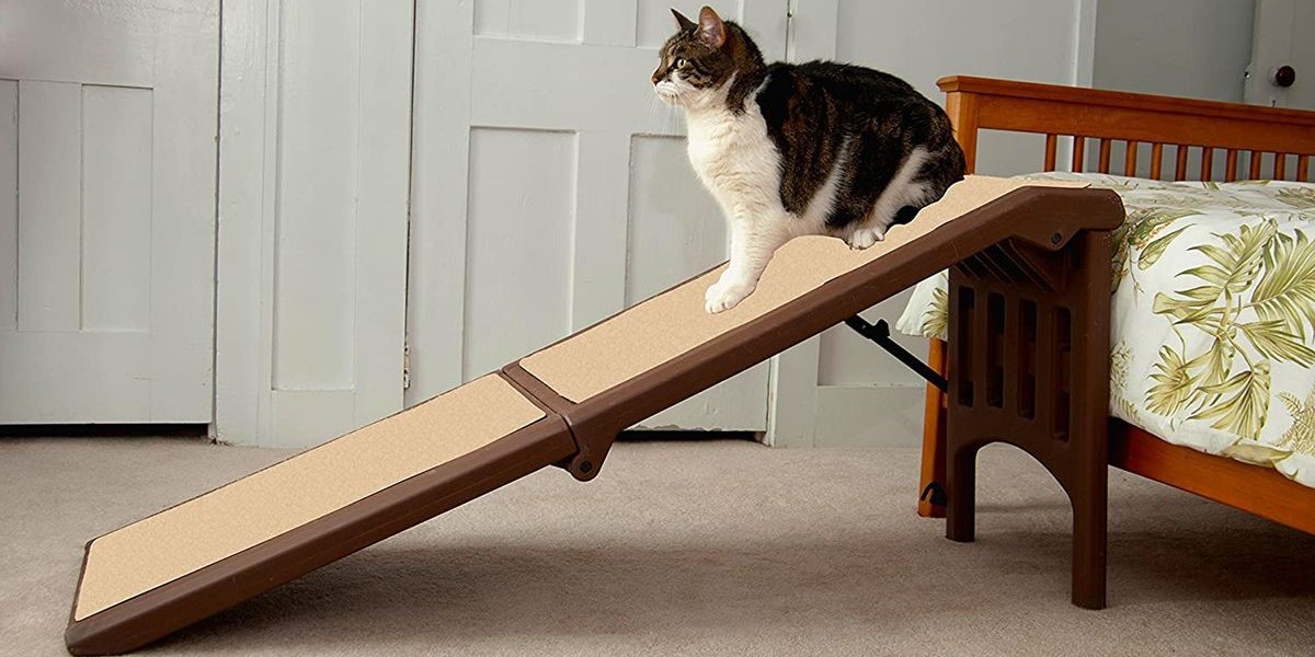 From USD 145.9 Mn to USD 236.6 Mn: Pet Ramp Market Growth Explained