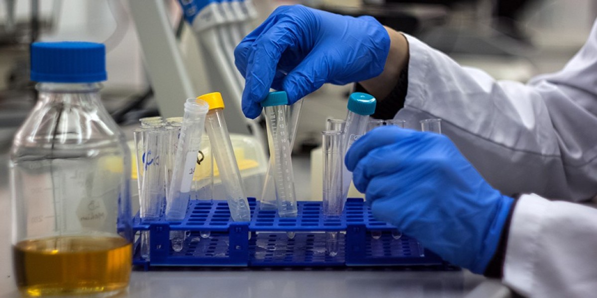 In Vitro Diagnostics Test Kit Market Strategies for Sustainability and Eco-Friendly Solutions