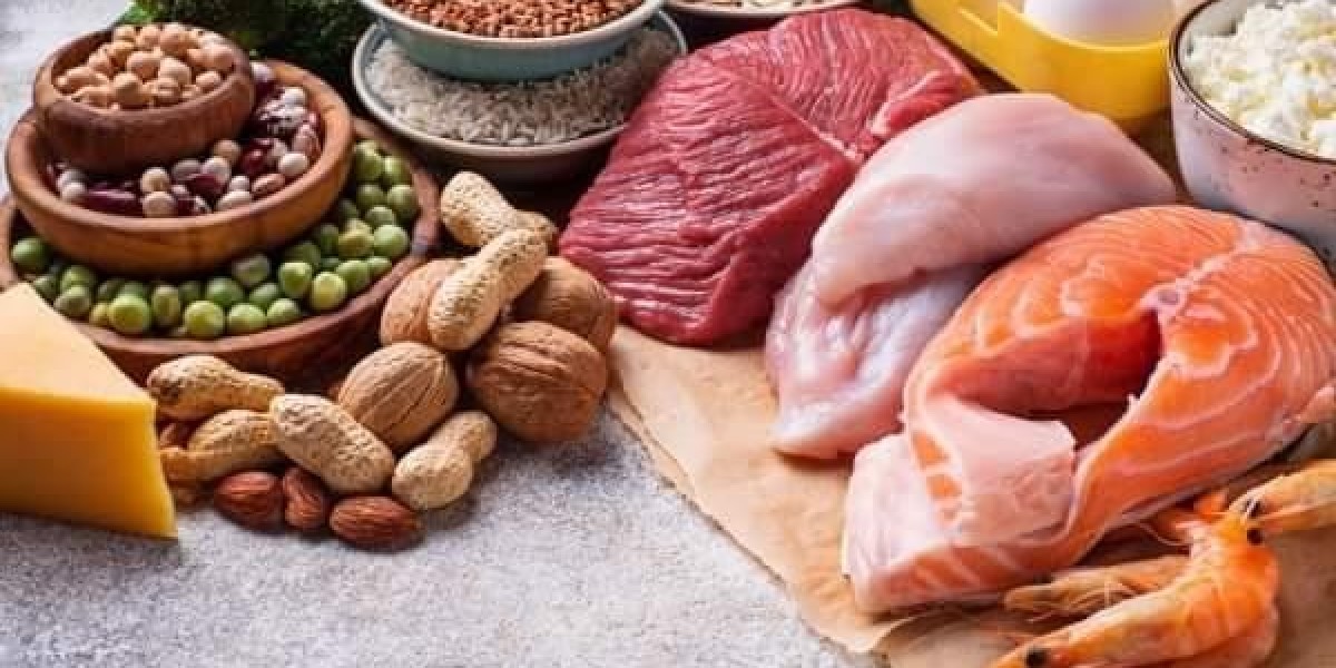 The Role of Protein Ingredients in Plant-Based Meat Alternatives: Market Overview and Trends