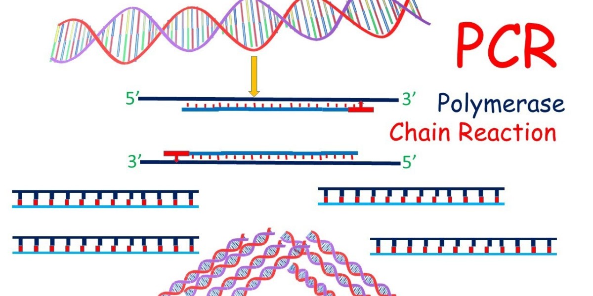 Digital PCR Takes Center Stage in Market Growth