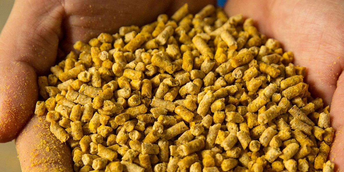 Swine Feed Market Barriers Addressing High Costs and Supply Chain Disruptions in Feed Production