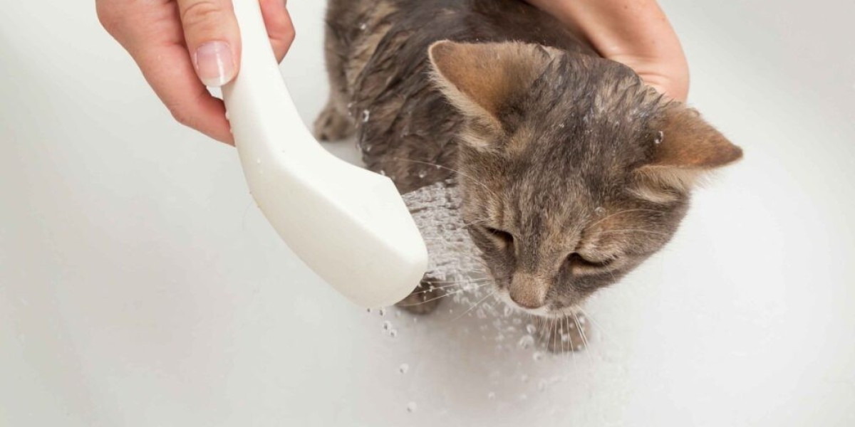 Enhancing Pet Health with Cold Laser Therapy at Kainer Veterinary Hospital
