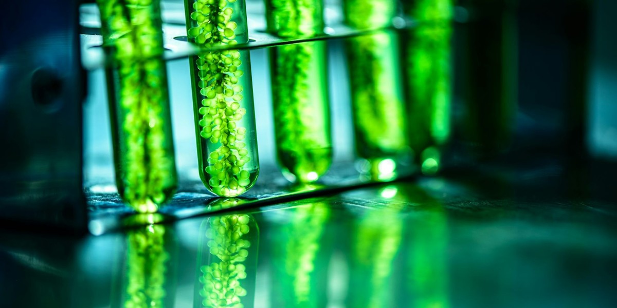 Biofuel Testing Services Market Growth: How Product Lifecycle Management is Transforming Biofuel Industries