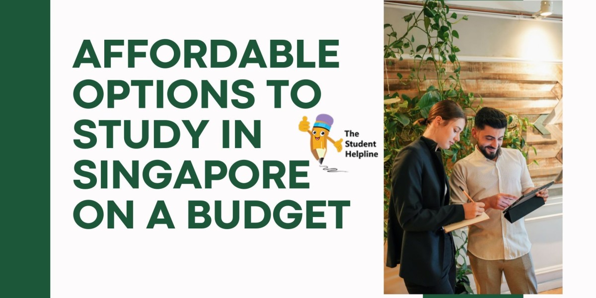 Affordable Options to Study in Singapore on a Budget