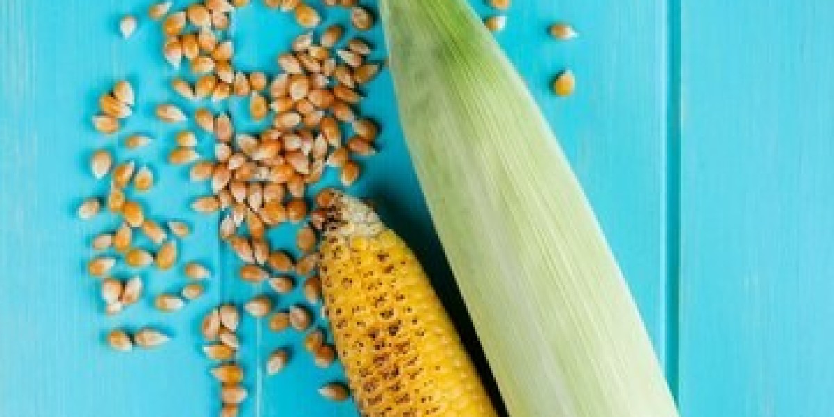Corn Oil Market Pain Points and Their Impact on the Industry