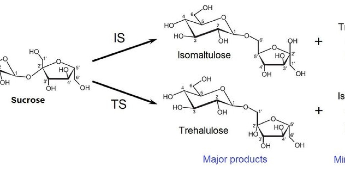 Top Applications of Isomaltulose in the Global Food Industry