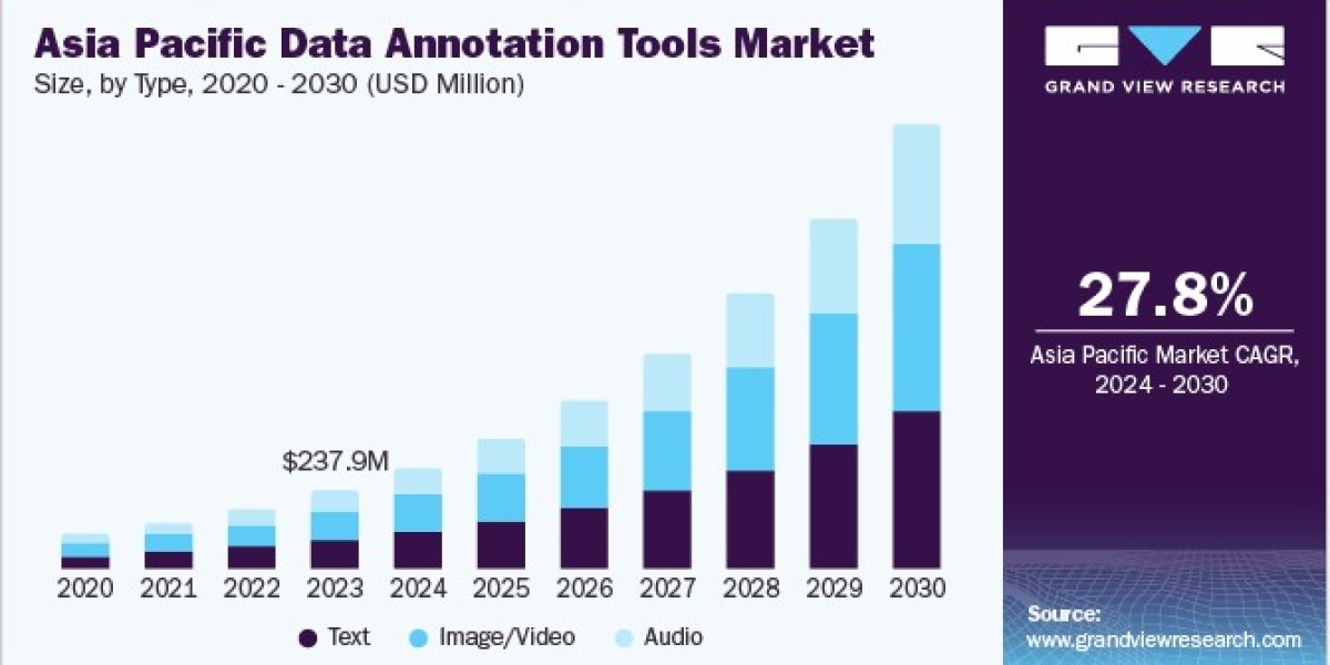 Data Annotation Tools Market Perspectives on Global Expansion and Adoption Rates