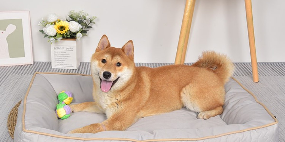 Upgrade Your Pet's Sleep with the Canvas Bolster Dog Bed