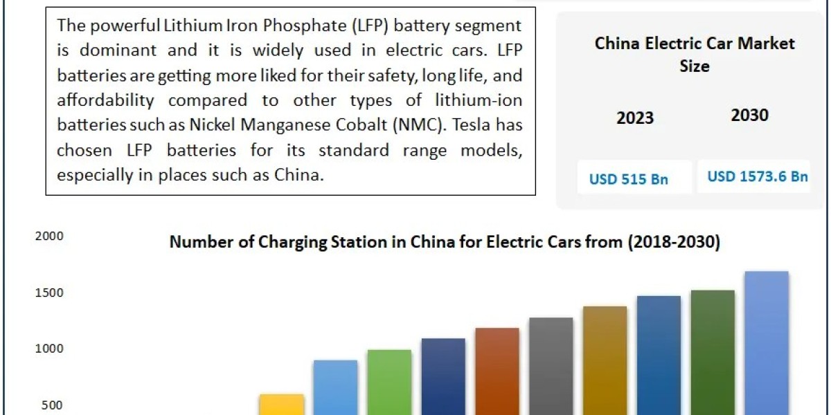 China Electric Car Market Outlook: 17.3% CAGR Over Forecast Period