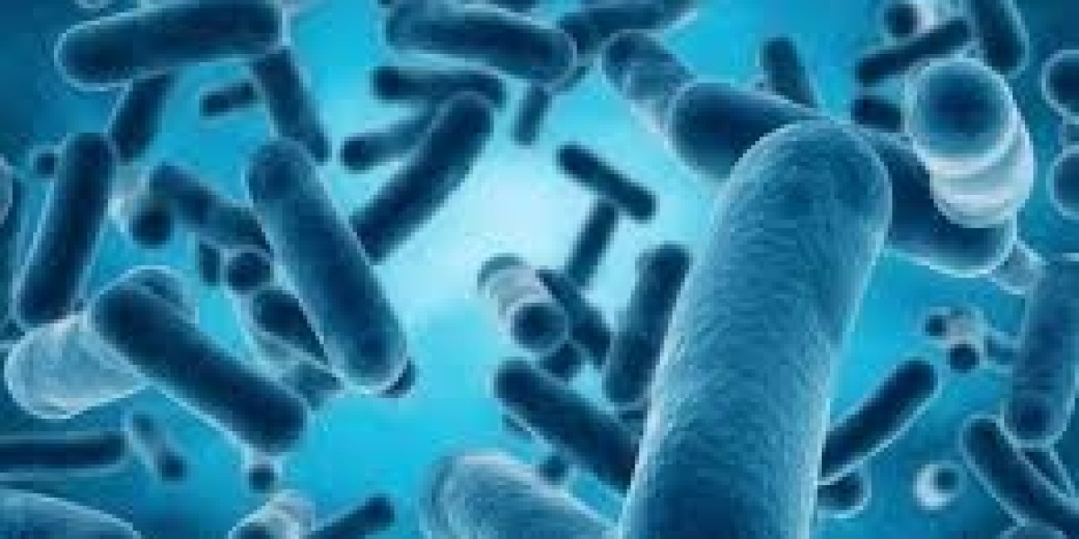 Bacillus Coagulans Market Threatened by Intense Competition and Rising Raw Material Costs