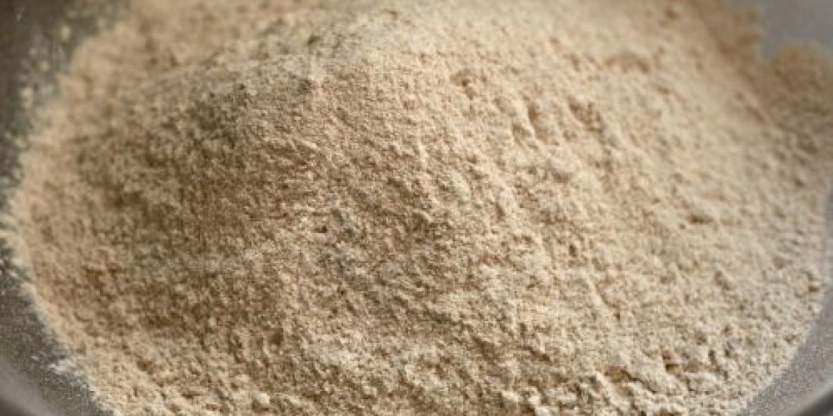 Whole-Wheat Flour Market Insights: Understanding the Role of Organic Trends in Shaping Global Consumer Behavior