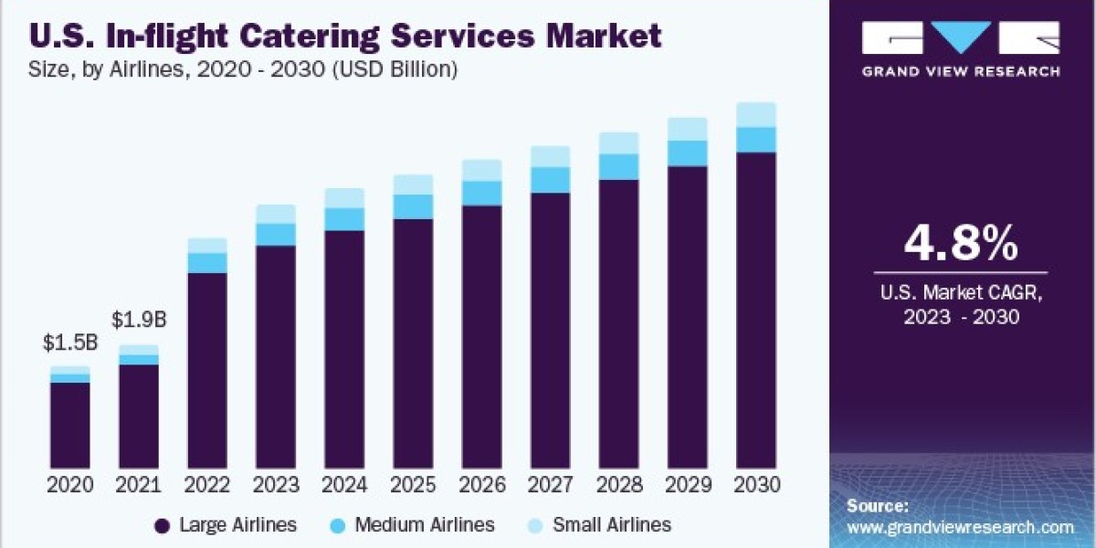 In-flight Catering Services Market Research: Consumer Preferences and Trends