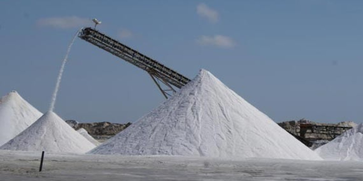 Industrial Salt Market Insights into Consumer Preferences