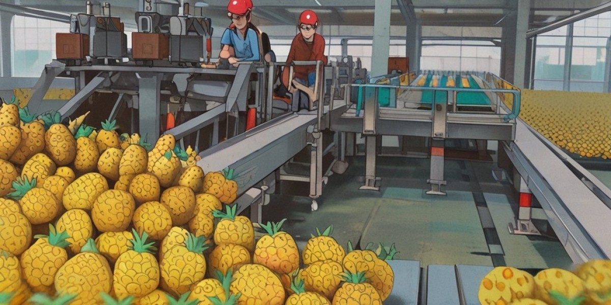 Pineapple Processing Plant Project Report 2024: Machinery and Raw Materials