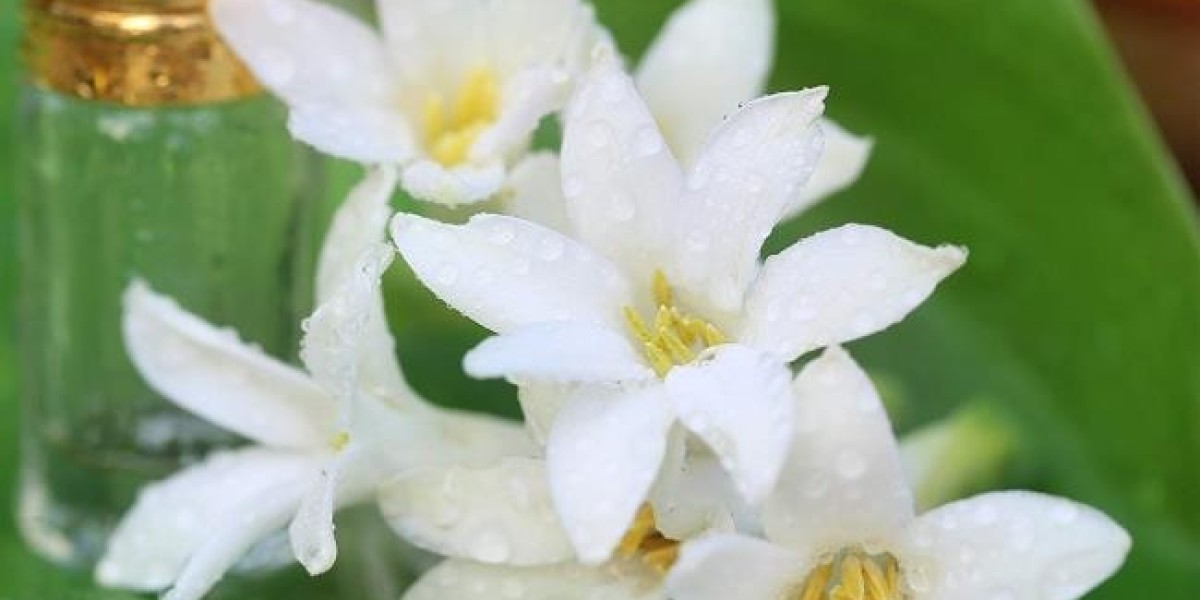 Tuberose Extract Market Size and Market Share by Application (2025)