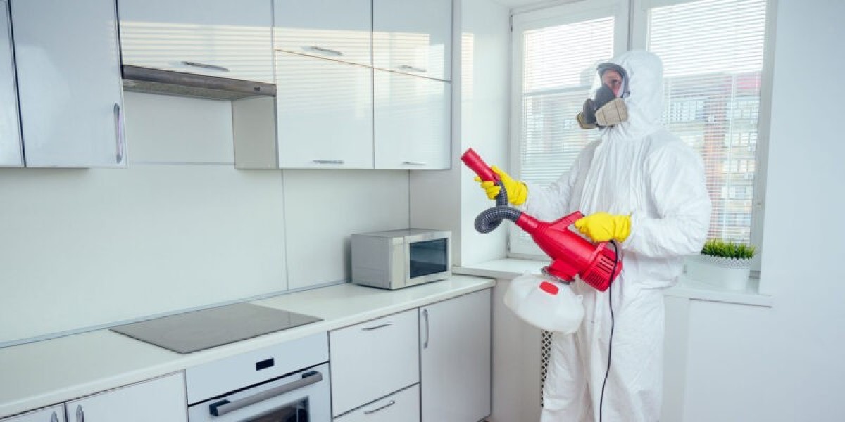 How Can Professional Rodent Control in Nampa Protect Your Home?