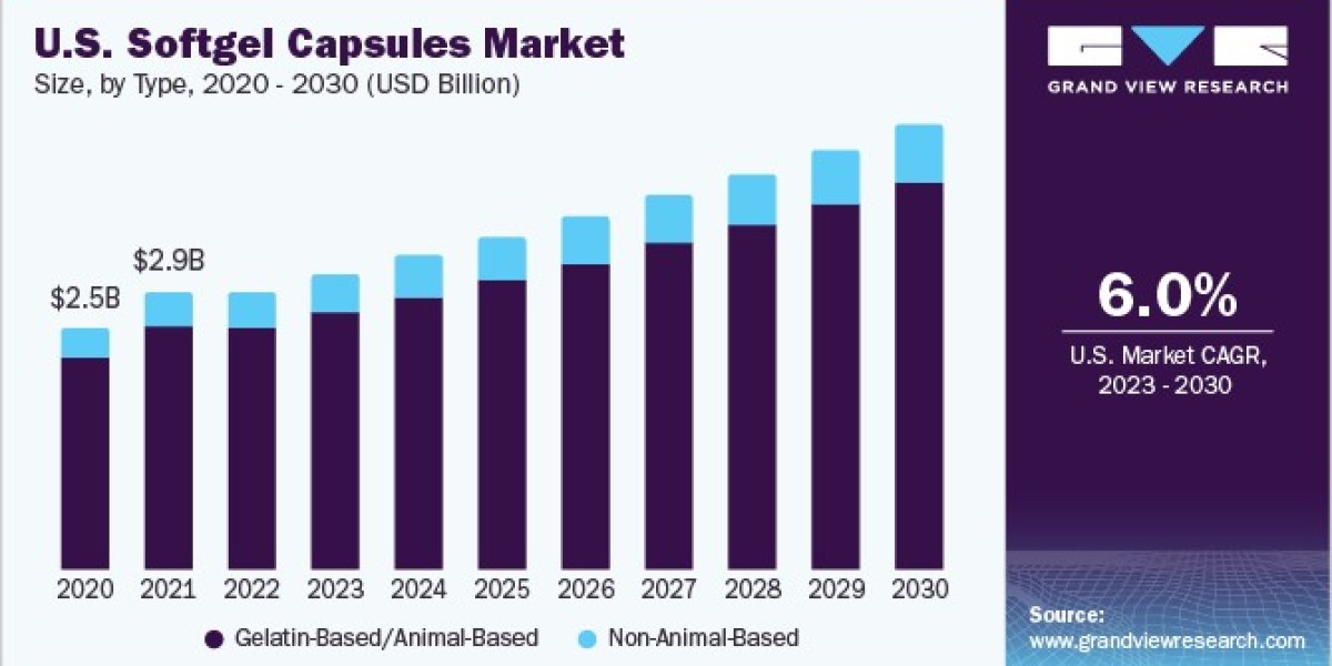Softgel Capsules Market 2030: Key Players and Competitive Strategies