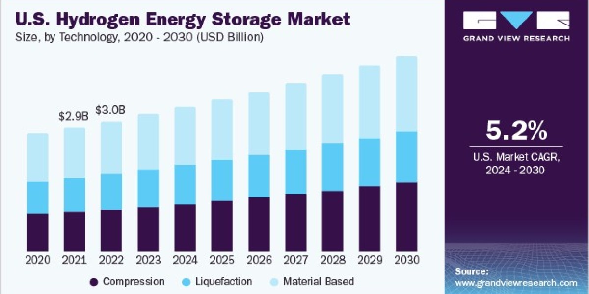 Hydrogen Energy Storage Market 2030: Challenges and Opportunities in Developing Regions