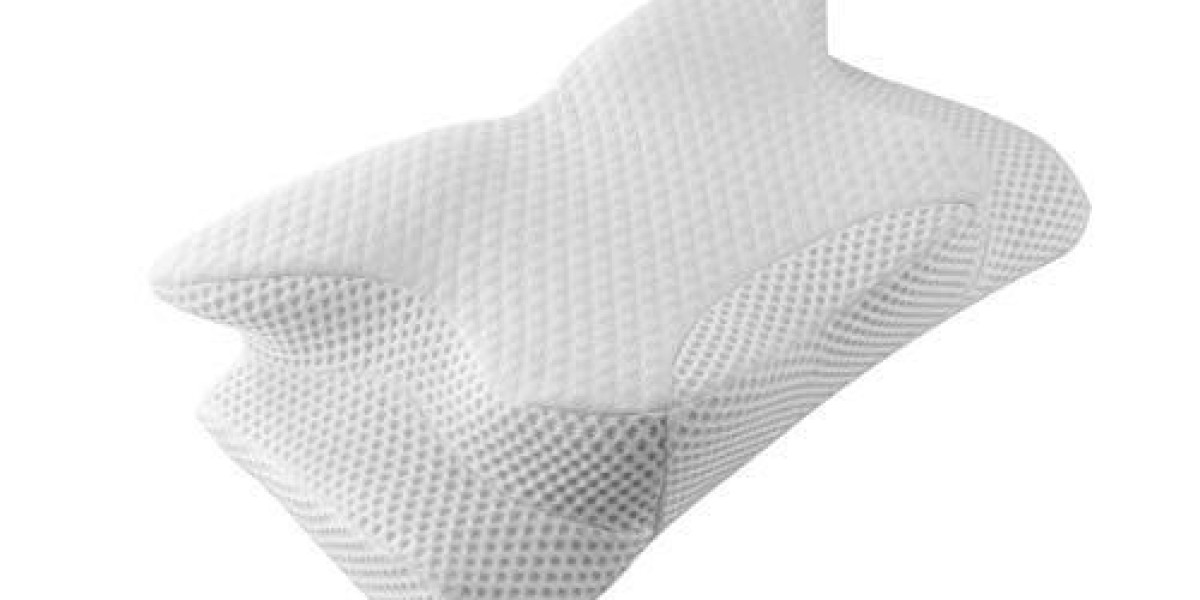 Cervical Pillow Market Dynamics and Competitive Landscape Shaping the Industry Outlook
