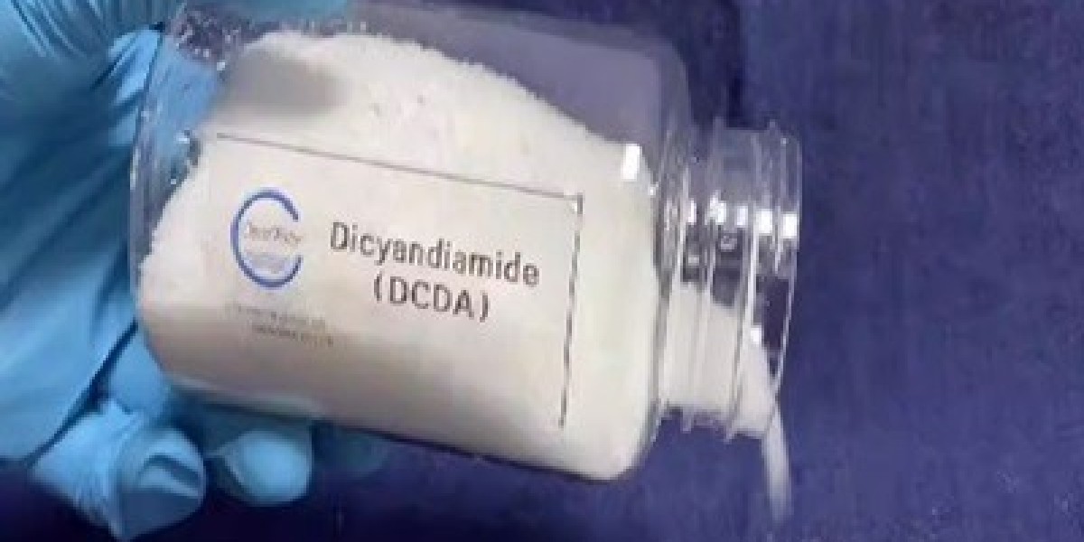 Dicyandiamide Market Leading Competitors, Regional Trends and Growth Outlook by 2031