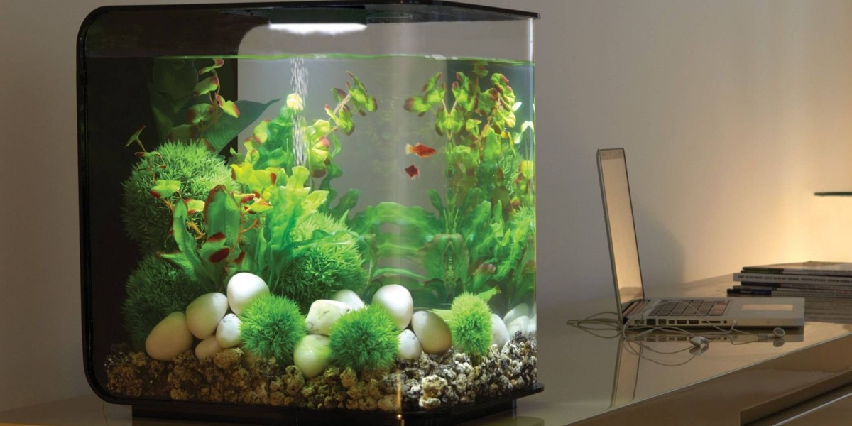 Aquarium Water Treatment Market Trends: Competitive Strategies and Key Drivers of Growth for Industry Leaders