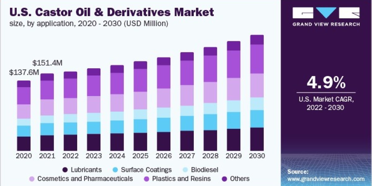 Castor Oil & Derivatives Market Forecast: Exploring Growth Factors and Projections