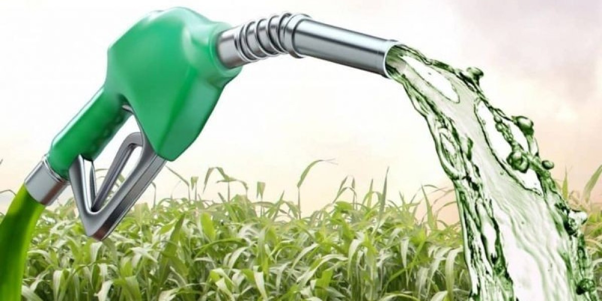Brazil Biofuel Market Size, Share, Demand and Forecast 2024-2032