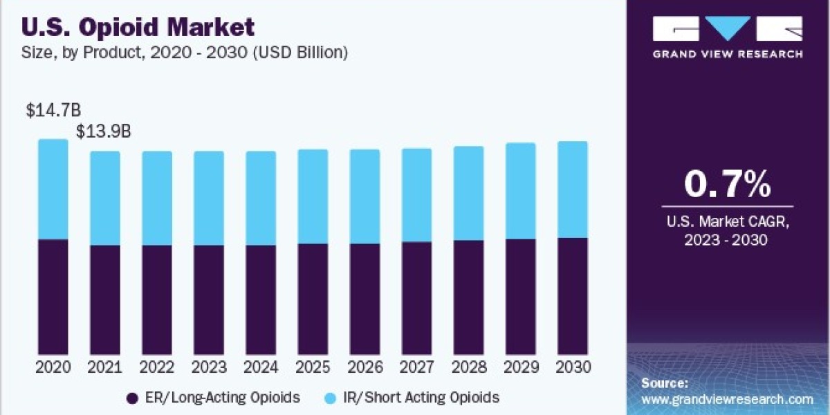 Opioid Market 2030: The Growing Demand for ER Opioids