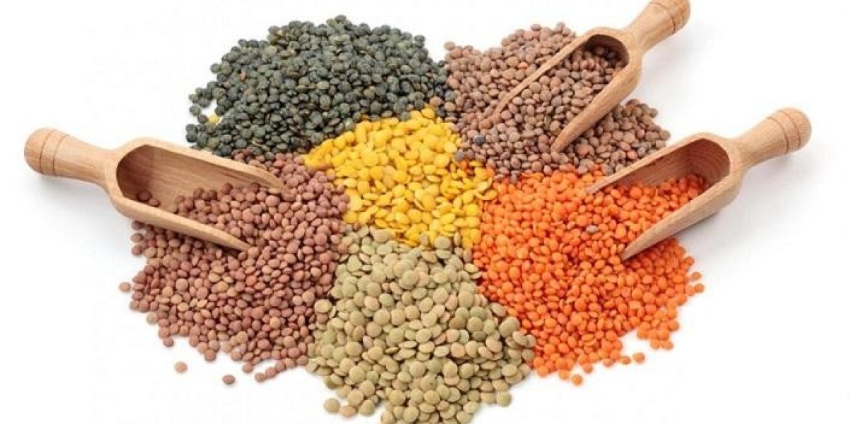 Health Benefits Driving the Demand for Lentil Protein in Functional Foods