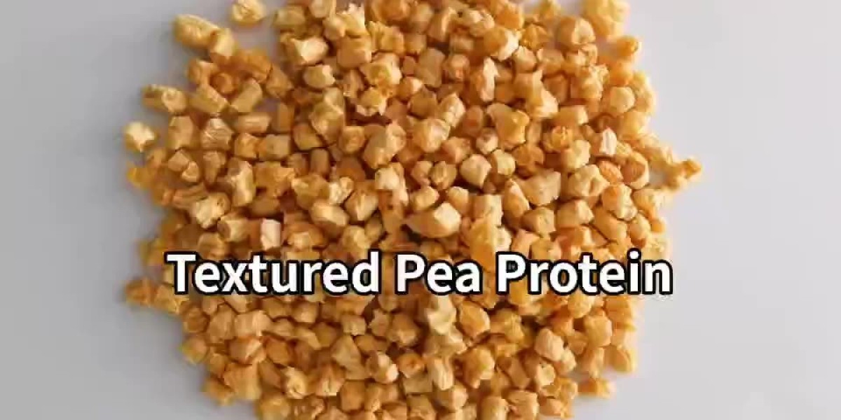 Regional Insights: Global Textured Pea Protein Market Share