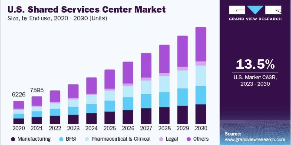 Shared Services Center Market 2030: Bridging the Skills Gap with Shared Services