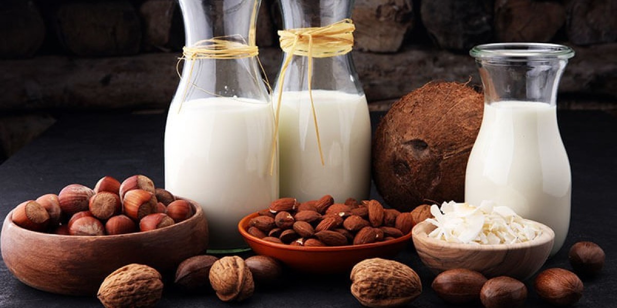 Plant-Based Beverage Market Outlook: Key Factors Influencing Market Trends and Future Developments